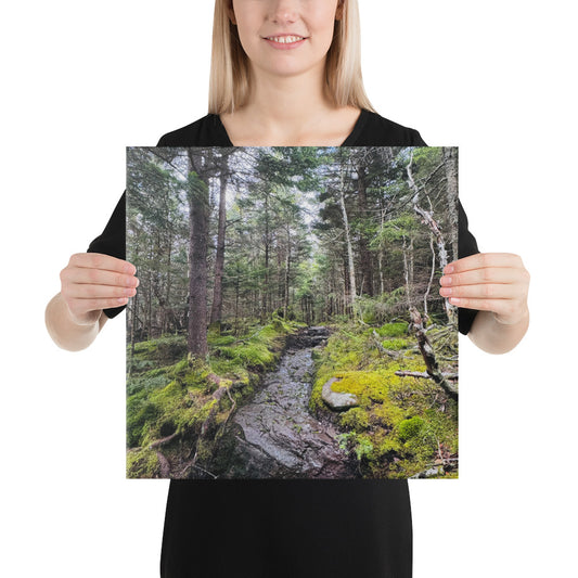 Catskill Mountain Moss Canvas