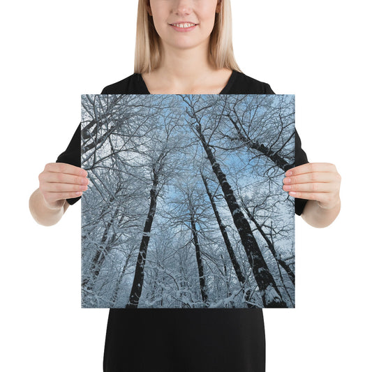 Winter in the Woods Canvas